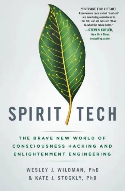 Spirit Tech by Wesley J. Wildman and Kate J. Stockly
